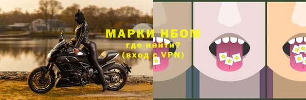 эйфоретик Пересвет