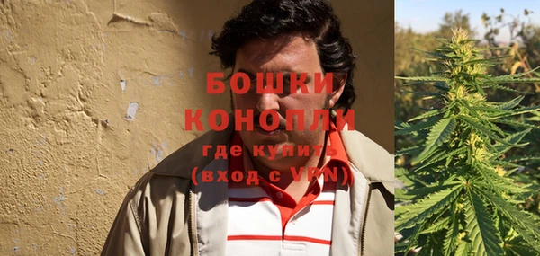 эйфоретик Пересвет