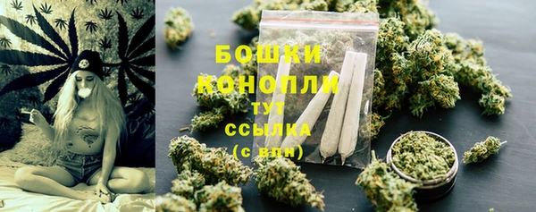 сатива Пестово