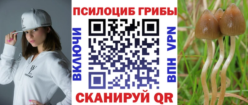 Псилоцибиновые грибы GOLDEN TEACHER Разумное